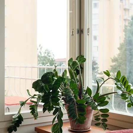 Spacious 3br Next To Downtown דירה